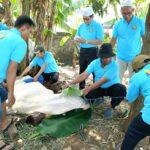 GARUDA Salurkan Qurban ke Tiga Wilayah Jakarta, Ratusan Keluarga Rasakan Manfaat Idul Adha